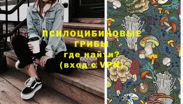 индика Уссурийск